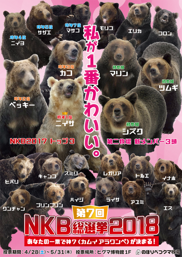 NKB総選挙2018 エントリー開始！ | のぼりべつクマ牧場 公式サイト