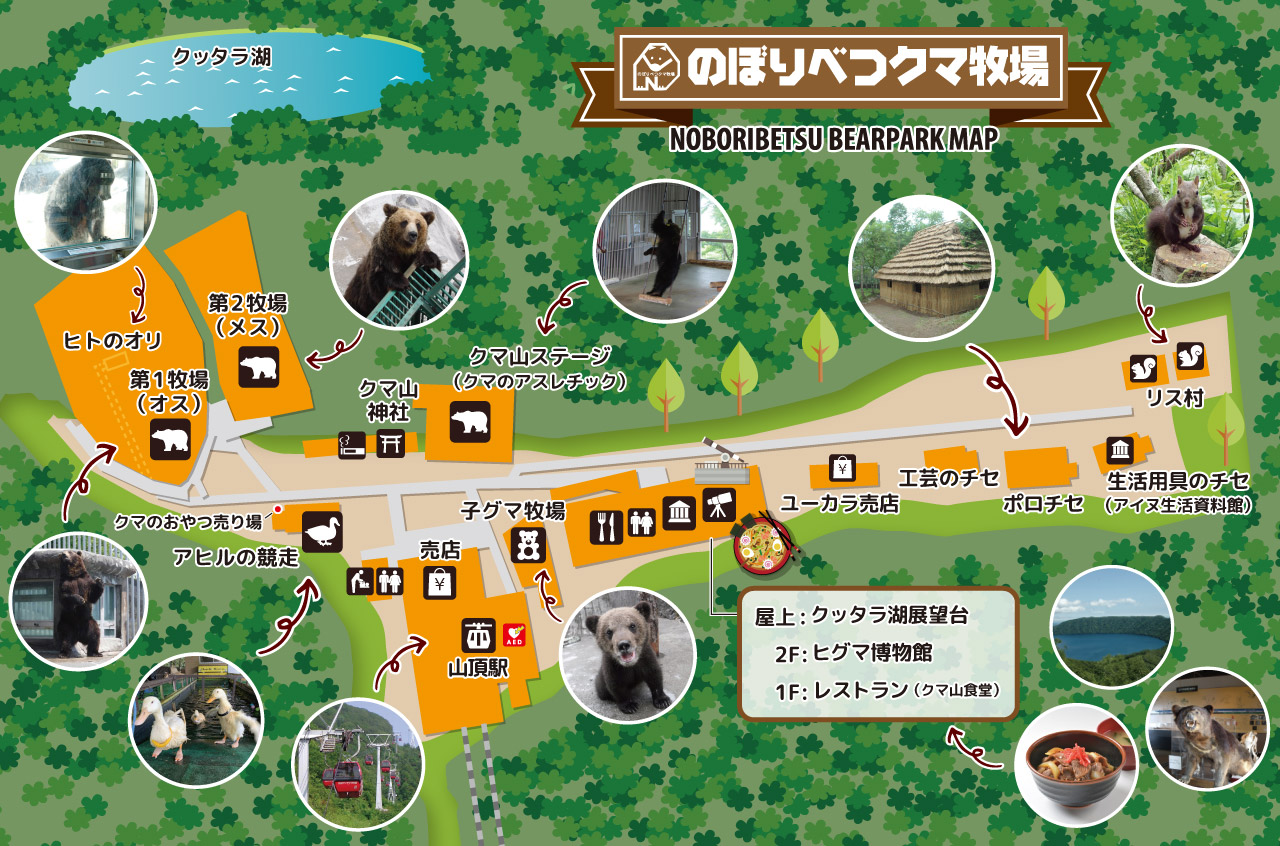 入園情報 営業時間 入園料金 のぼりべつクマ牧場 公式サイト