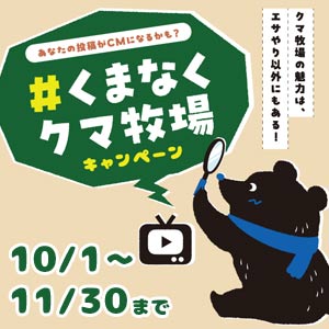 あなたの投稿がCMになるかも？ ＃くまなくクマ牧場 キャンペーン 11/30まで開催中！