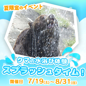 クマの水浴び体験！夏休み限定で「スプラッシュタイム」開催！
