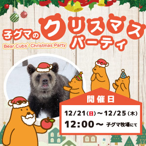子グマのクリスマスパーティ 12/21~25まで開催!