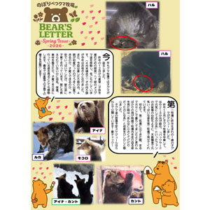 Bear's Letter(旧 飼育員は見たべあ！) 2026年春号発行！