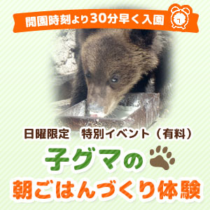 体験イベント『子グマの朝ごはんづくり体験』（人数限定　前日17:00までに専用チケット購入が必要）