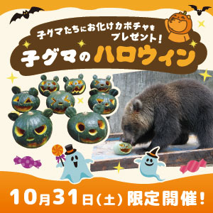 10/31(土)限定！ハロウィンイベント『子グマのハロウィン』開催！